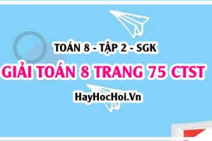 Giải Toán 8 trang 75 tập 2 Chân trời sáng tạo